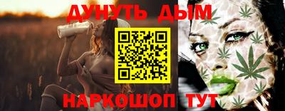 СК Бийск