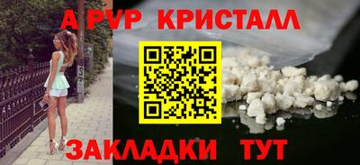 СК Бийск