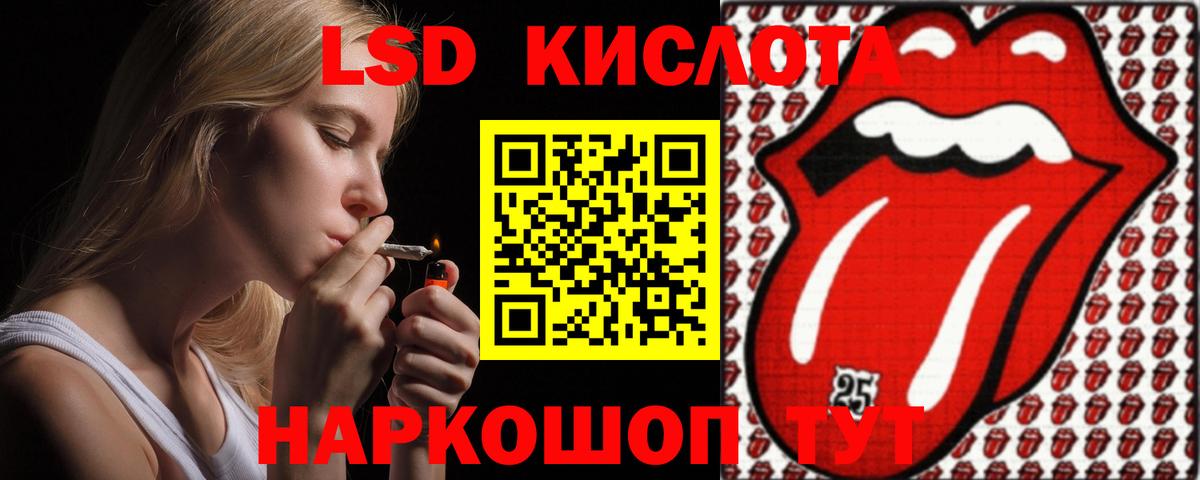 НБОМе Калининград