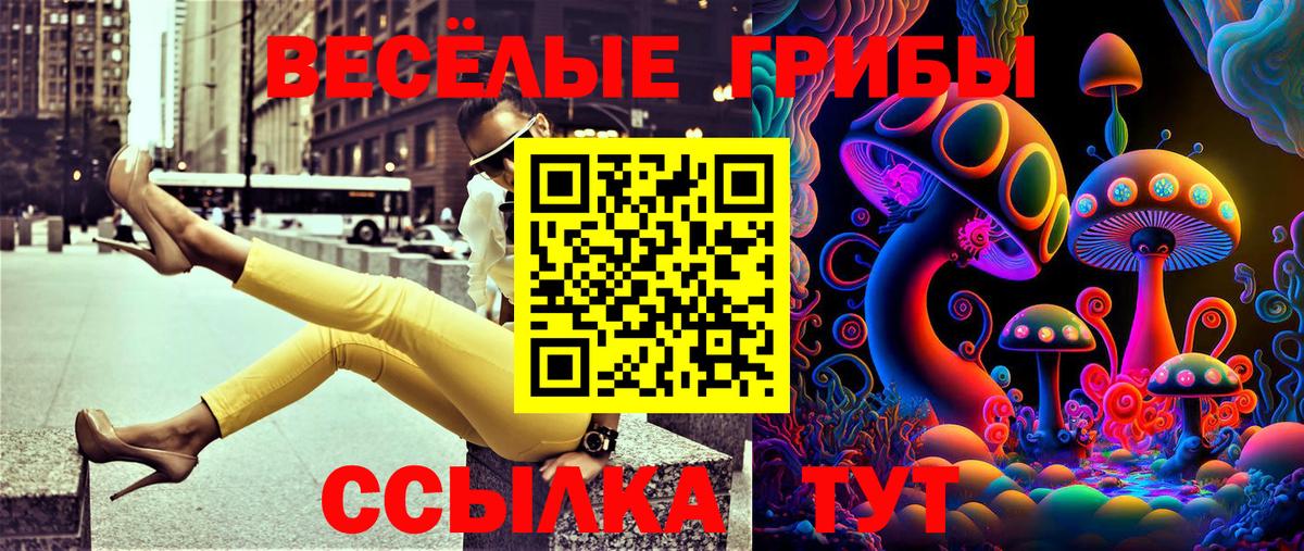 Калининград  Псилоцибиновые грибы MAGIC MUSHROOMS  Псилоцибиновые грибы мухоморы  Вход с VPN 