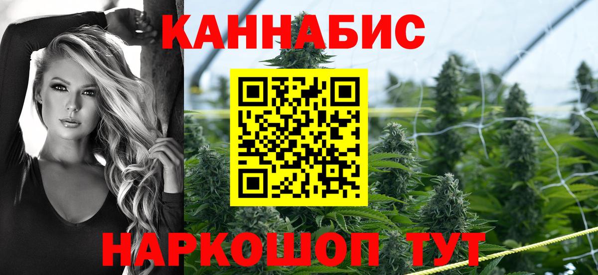 Каннабис конопля Калининград